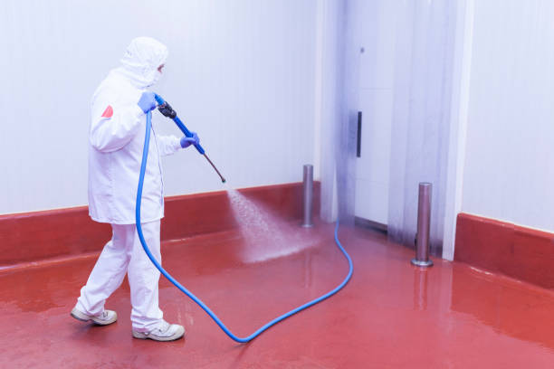 Reliable Seabrook Farms, NJ Pressure Washing Services Solutions